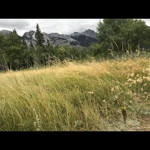 Meet your Posher, Kris